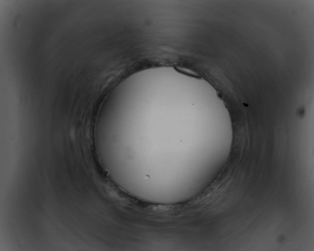X0000101970088200807180736