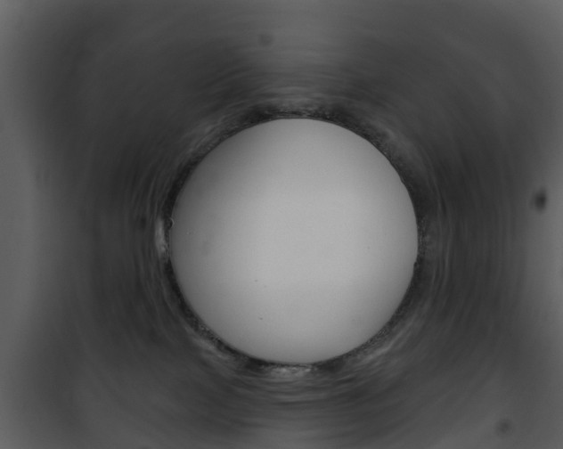 X0000101970089200807180736