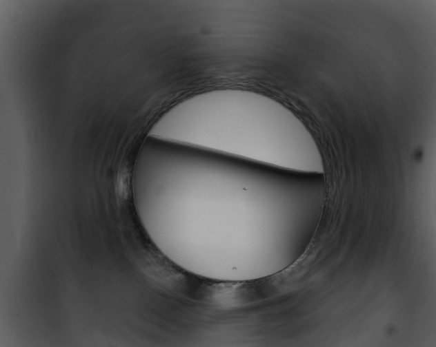 X0000101970090200807180736
