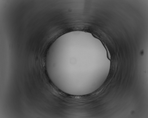 X0000101970091200807180736