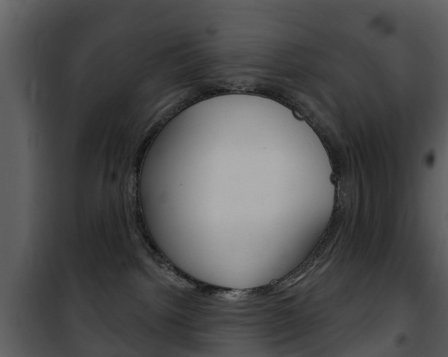 X0000101970092200807180736