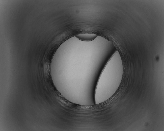 X0000101970093200807180736