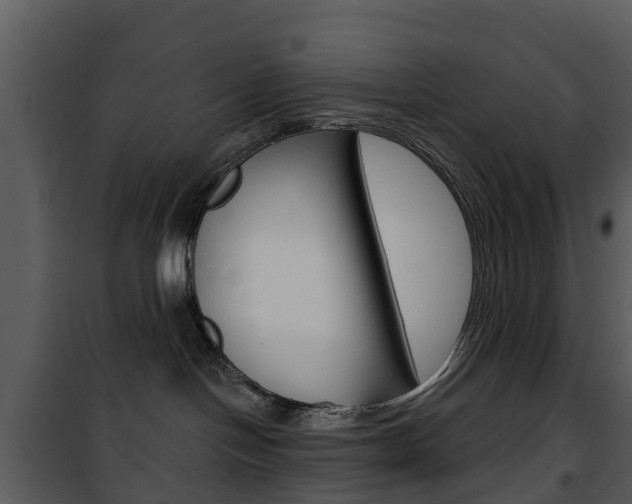 X0000101970094200807180736