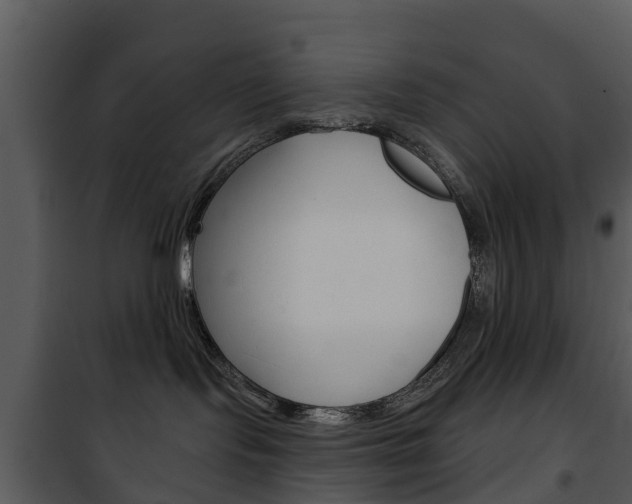 X0000101970095200807180736