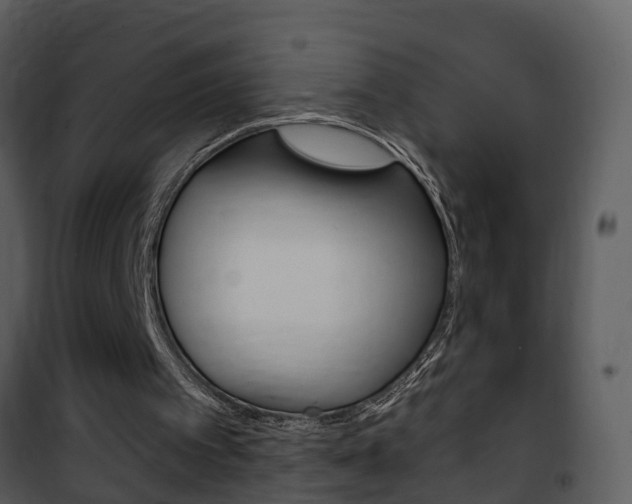 X0000101970097200807180735