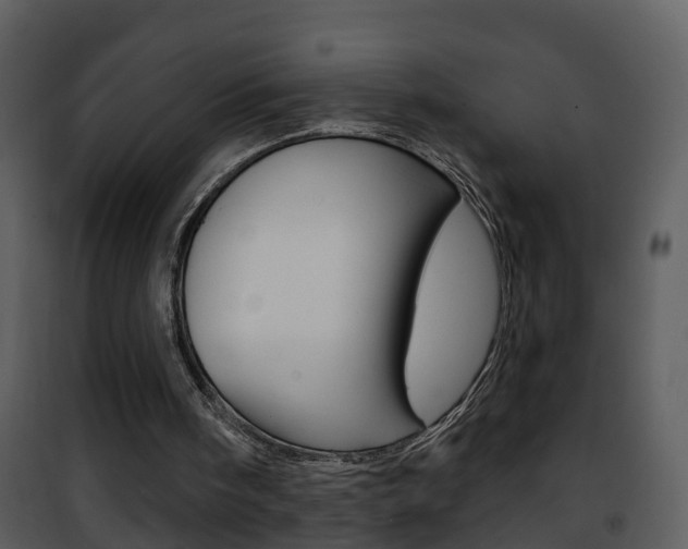 X0000101970098200807180735