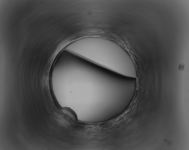 X0000101970099200807180735