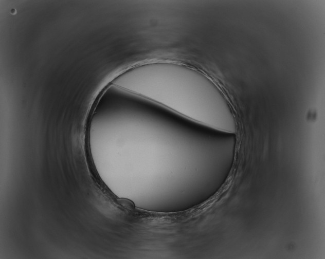 X0000101970100200807180735