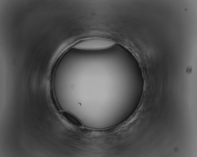 X0000101970101200807180735