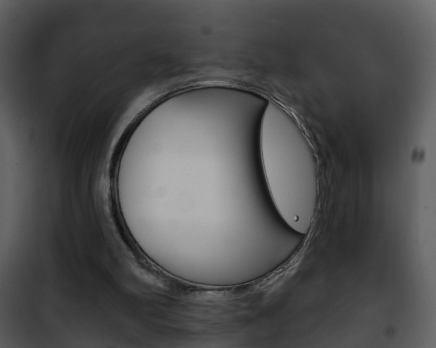 X0000101970102200807180735