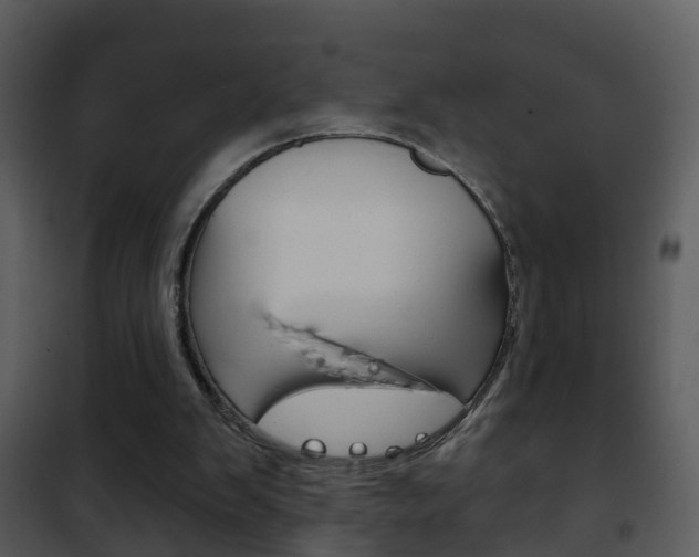 X0000101970103200807180735
