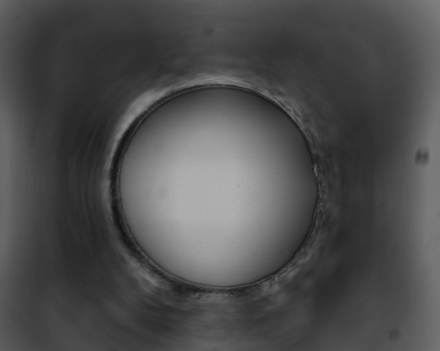 X0000101970104200807180735