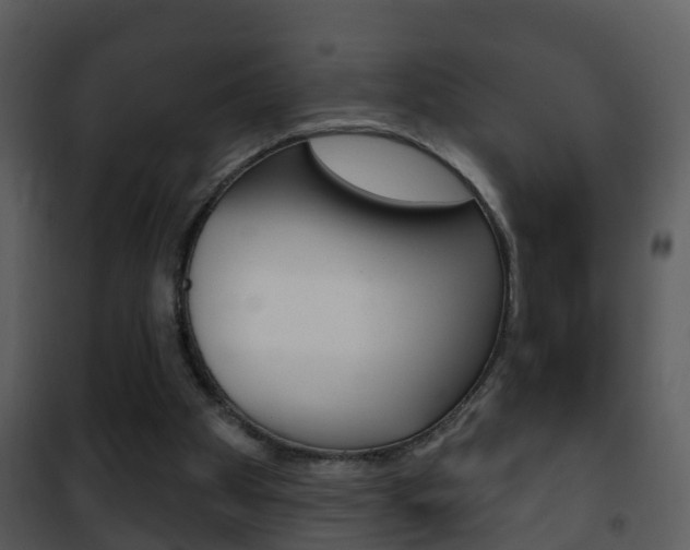 X0000101970105200807180735