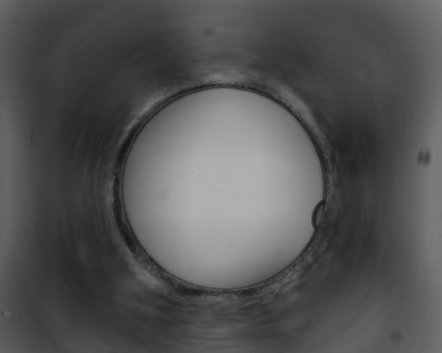 X0000101970106200807180735