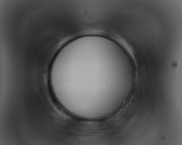 X0000101970107200807180735