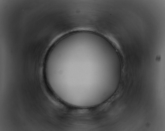X0000101970108200807180735