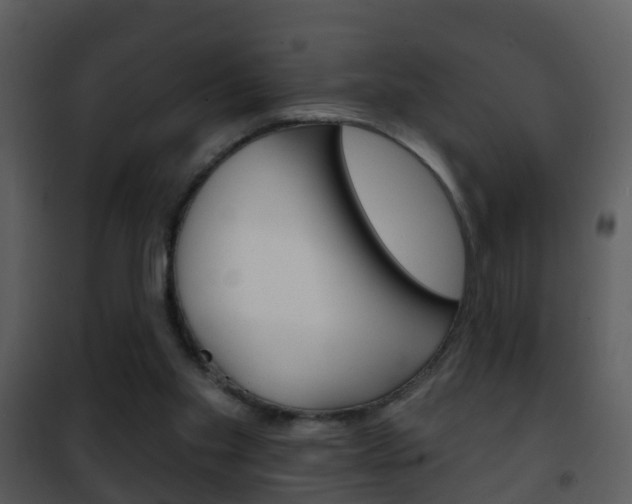 X0000101970109200807180735