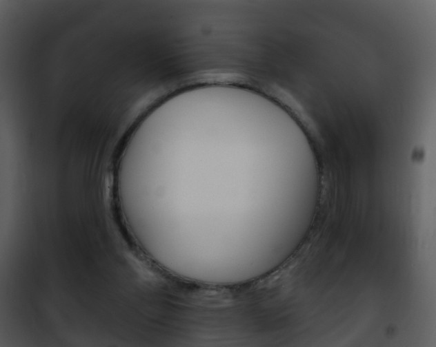 X0000101970110200807180735