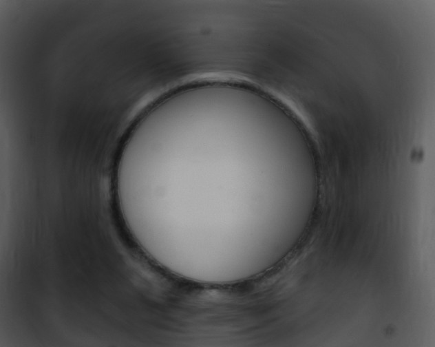 X0000101970111200807180735