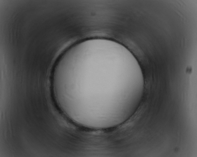 X0000101970112200807180735