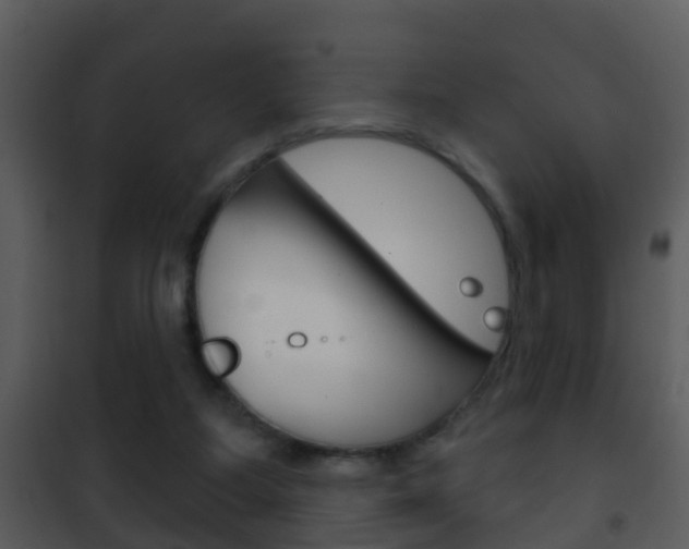 X0000101970115200807180735