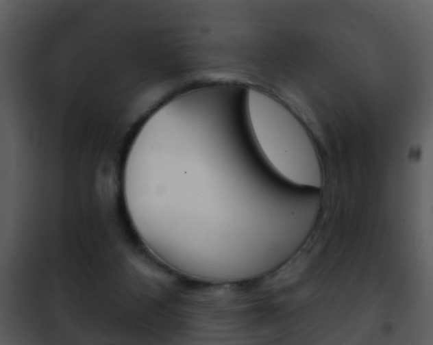 X0000101970116200807180735