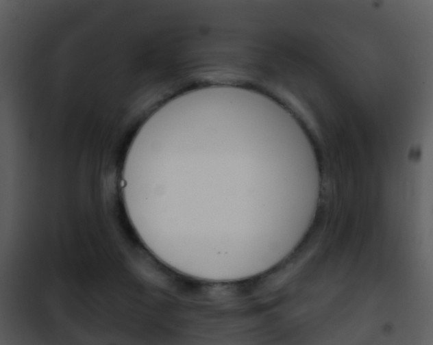 X0000101970117200807180735