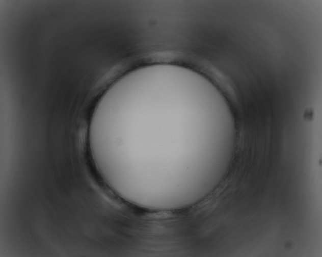 X0000101970118200807180735