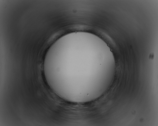 X0000101970119200807180735