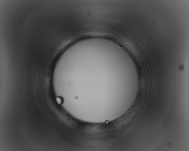 X0000101970120200807180735