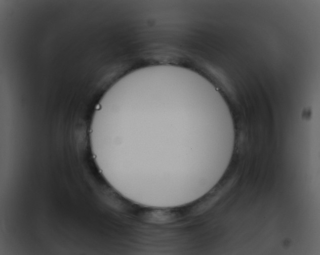 X0000101970121200807180735