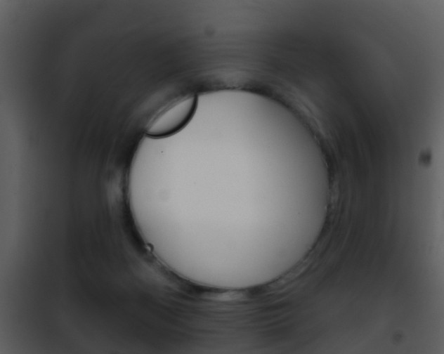 X0000101970122200807180735