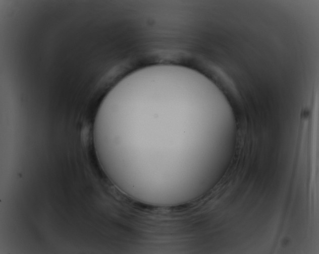 X0000101970123200807180735
