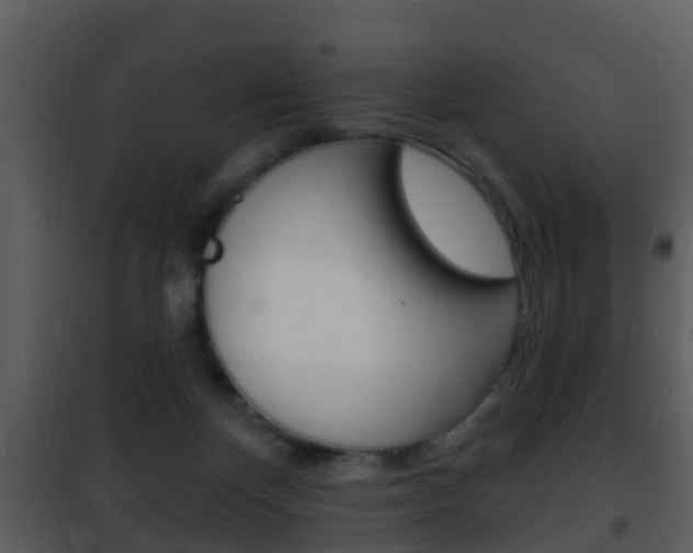 X0000101970124200807180735