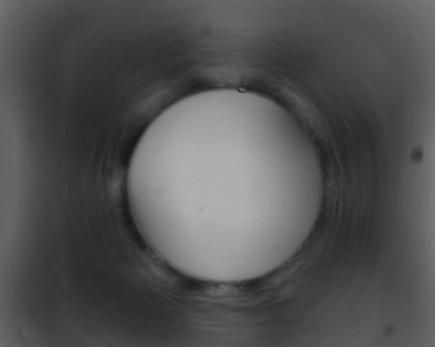 X0000101970125200807180735