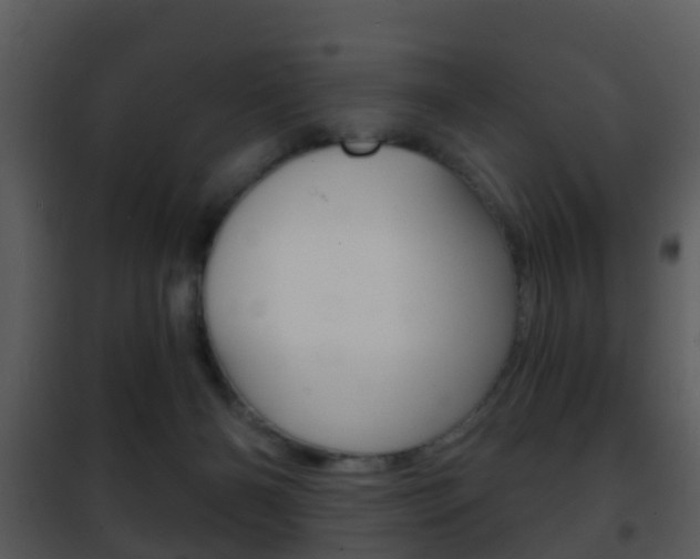 X0000101970126200807180735
