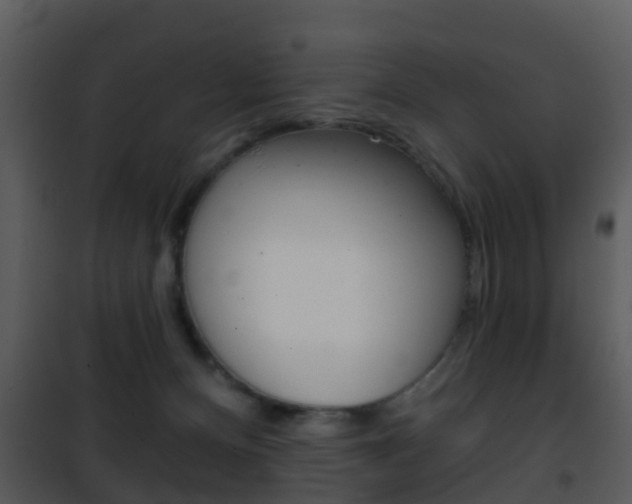 X0000101970128200807180735