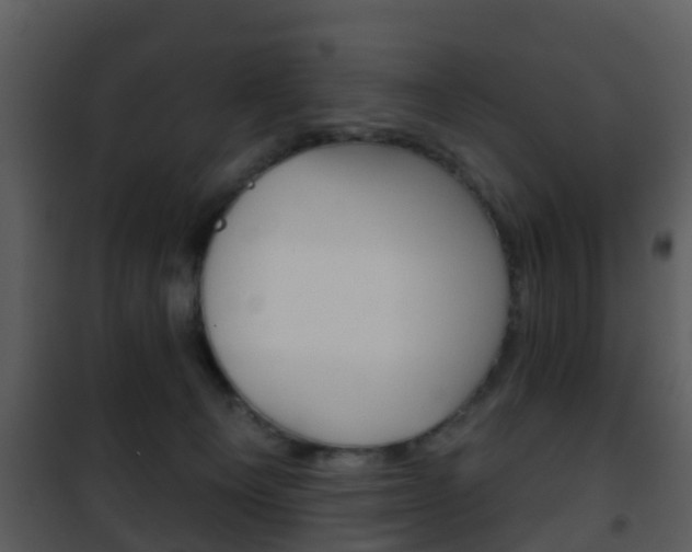 X0000101970129200807180735