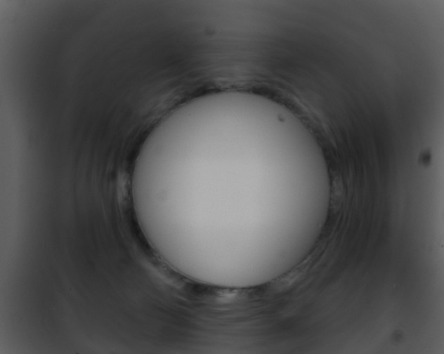 X0000101970130200807180735