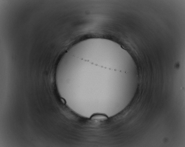 X0000101970131200807180735