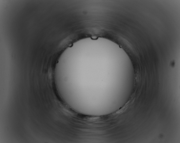 X0000101970132200807180735