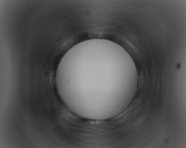 X0000101970134200807180735