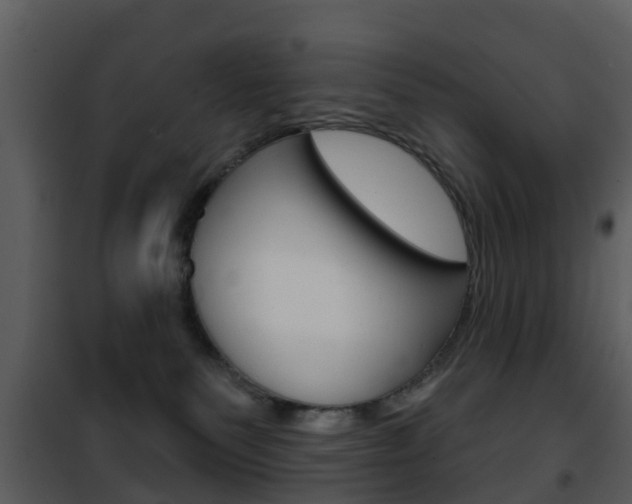 X0000101970135200807180735