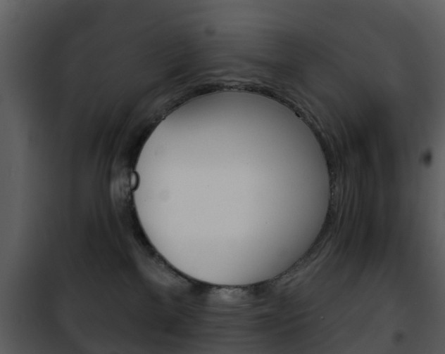 X0000101970137200807180735