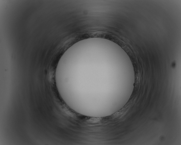 X0000101970138200807180735