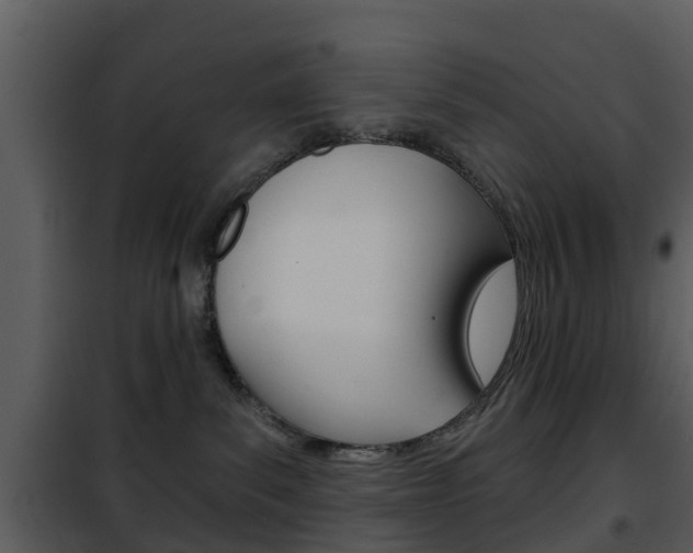 X0000101970139200807180735