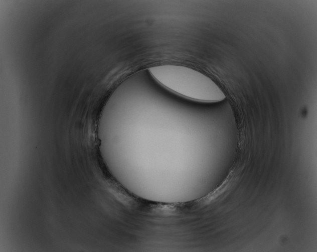 X0000101970140200807180735