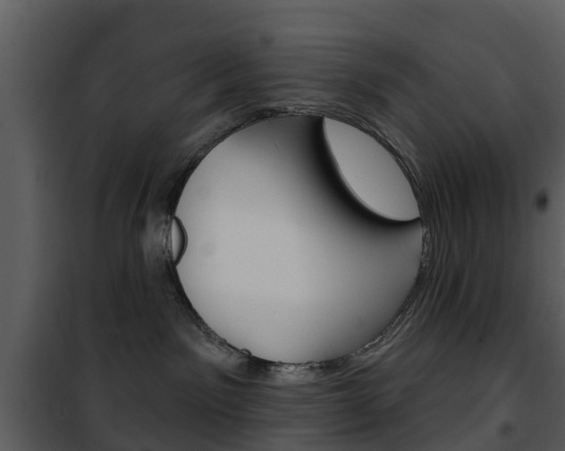 X0000101970141200807180735