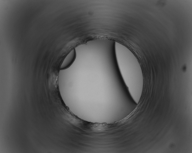 X0000101970142200807180735