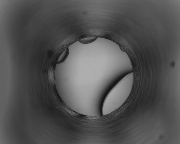 X0000101970143200807180735